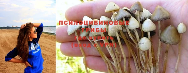 PSILOCYBIN Волосово